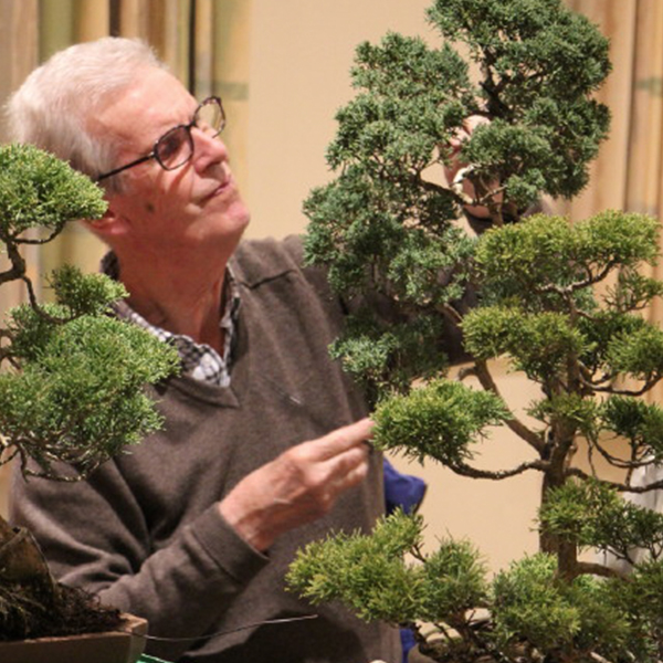 Bonsai Club at KWMCC